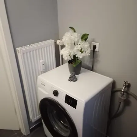 Apartment Stadtnah An Der Foerde 7 Hh L 1og