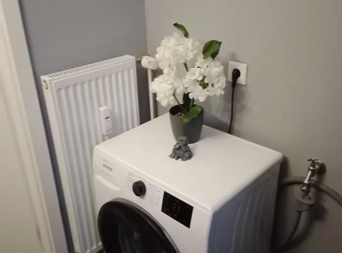 Appartement Stadtnah An Der Foerde 7 Hh L 1og